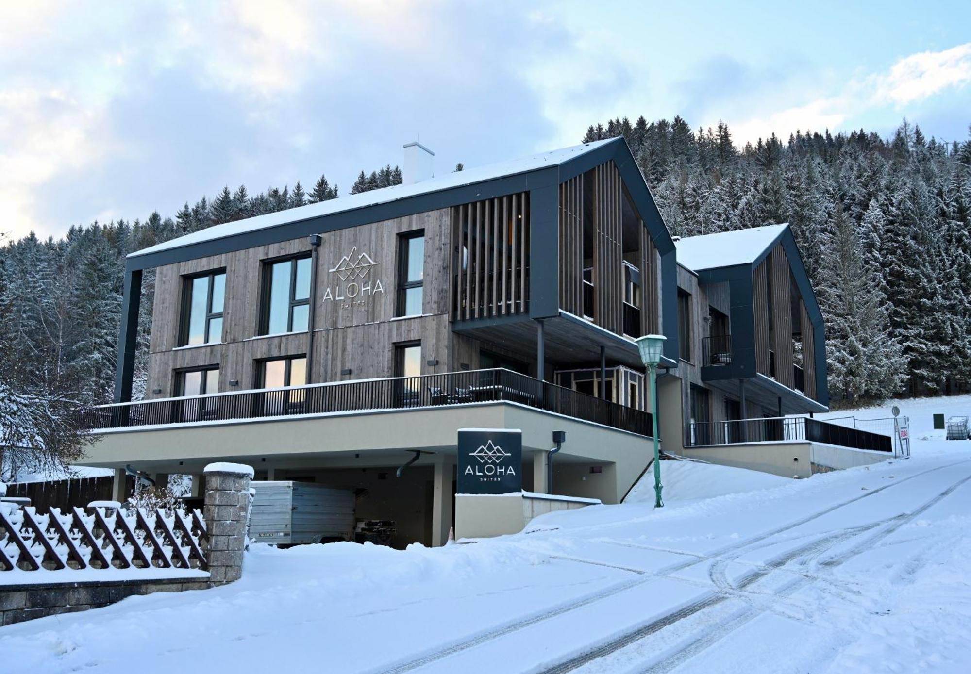Aloha Suites - Alpin Lodge Haus ハウス・イム・エンスタール エクステリア 写真