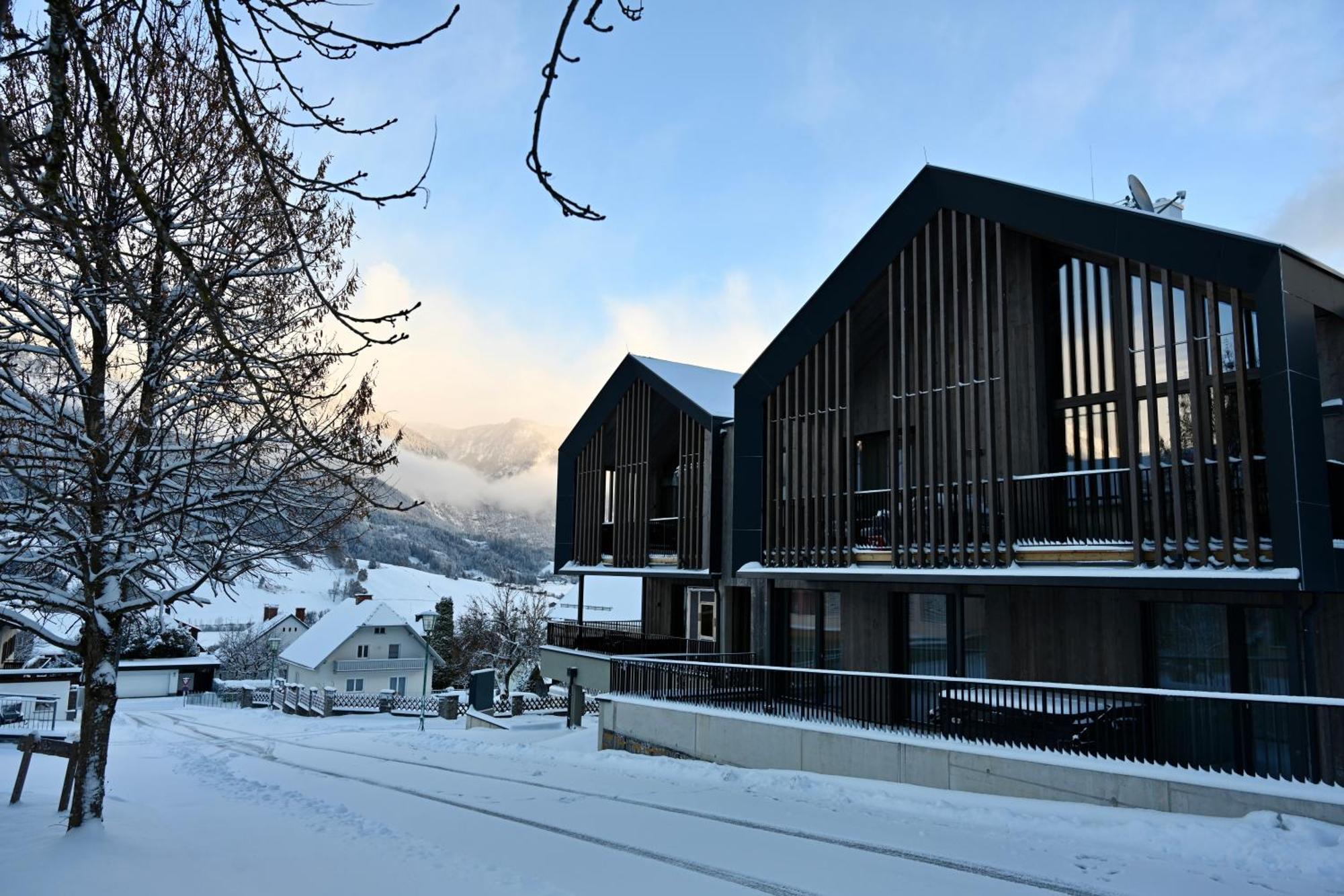 Aloha Suites - Alpin Lodge Haus ハウス・イム・エンスタール エクステリア 写真
